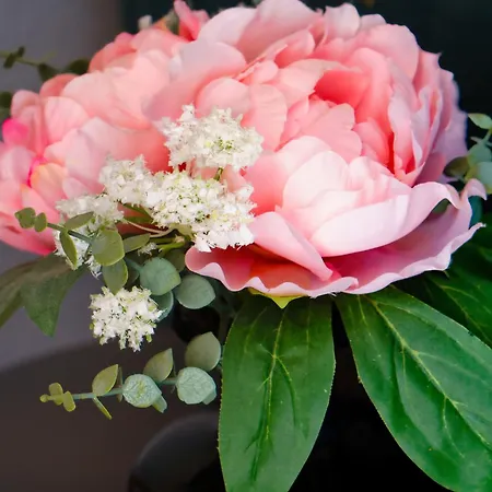 Apartment Serena Solvista - Cristianos *