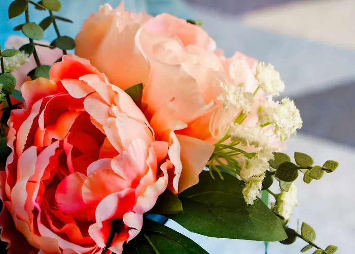 Serena Solvista - Cristianos